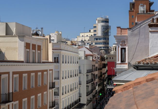 Apartment in Madrid - M (PRE5B) Ático Terraza Puerta del Sol