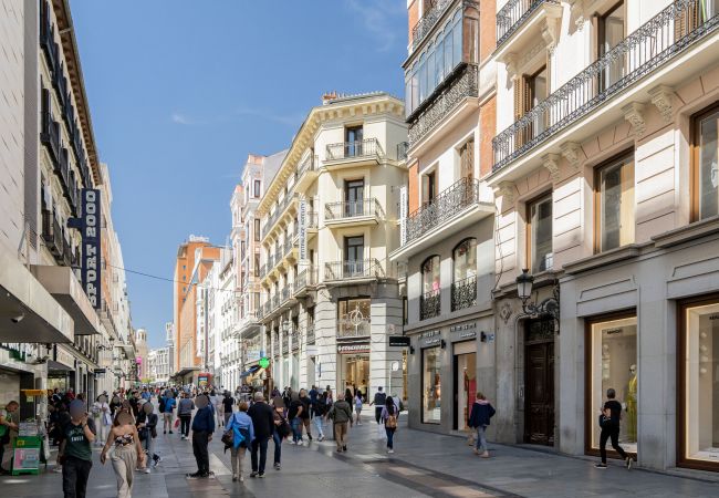 Apartment in Madrid - M (PRE5B) Ático Terraza Puerta del Sol