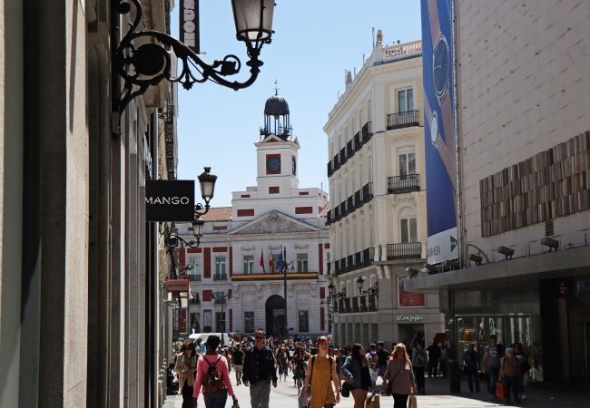 Apartment in Madrid - M (PRE5B) Ático Terraza Puerta del Sol