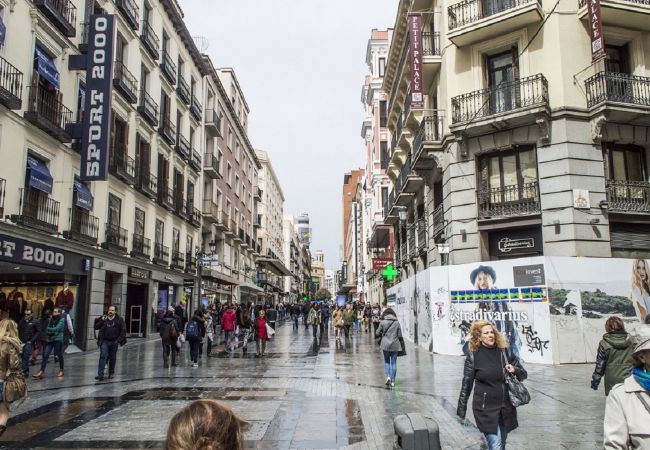 Apartment in Madrid - M (PRE5B) Ático Terraza Puerta del Sol