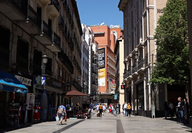 Apartment in Madrid - M (PRE5B) Ático Terraza Puerta del Sol