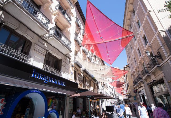 Apartment in Madrid - M (PRE5B) Ático Terraza Puerta del Sol