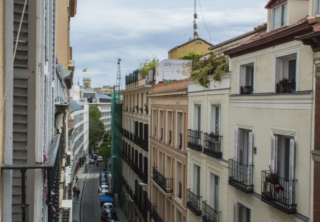 Apartment in Madrid - M (LM7) Downtown Madrid centro Cibeles