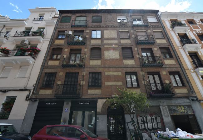 Apartment in Madrid - M (DF21) Ático en el Museo Reina Sofía - Atocha