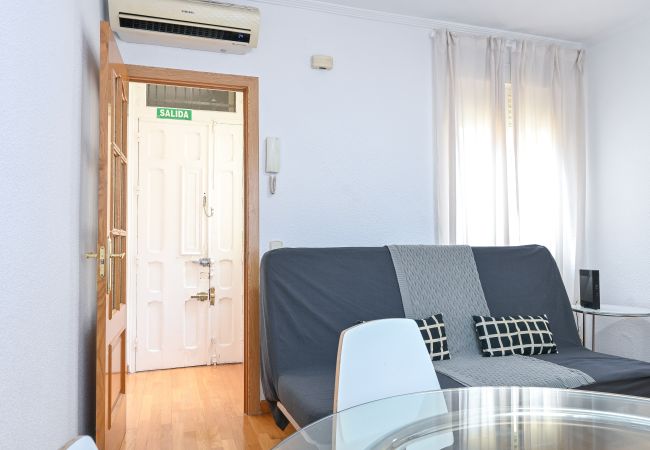 Apartment in Madrid - M (DF21) Ático en el Museo Reina Sofía - Atocha