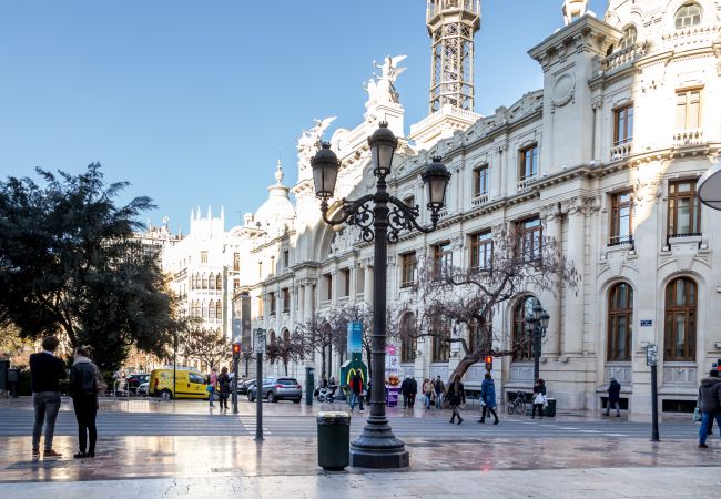 Apartment in Valencia / València - A (VA051.1) TH Ayuntamiento 2C