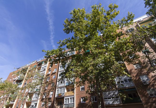 Apartment in Madrid - M (HGA5A) LUXE Madrid Norte R. Madrid Stadium