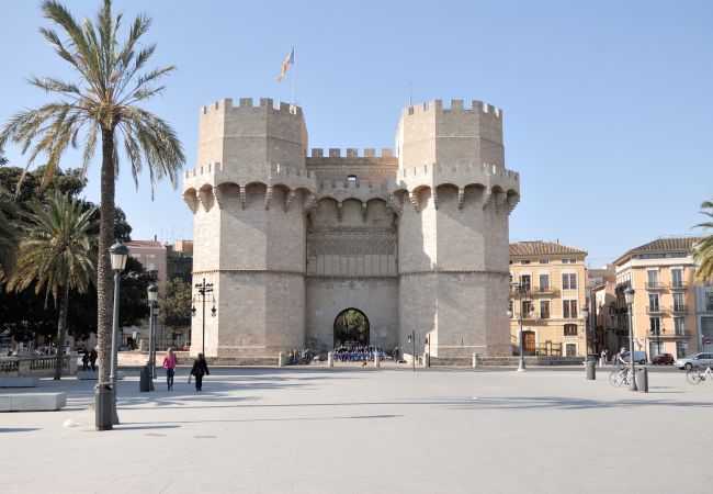 Apartment in Valencia / València - A (VA055) TH Plaza de la Virgen