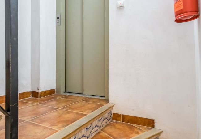 Apartment in Valencia / València - A (VA055) TH Plaza de la Virgen