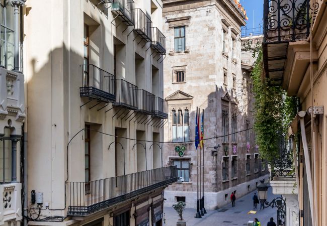 Apartment in Valencia / València - A (VA055) TH Plaza de la Virgen