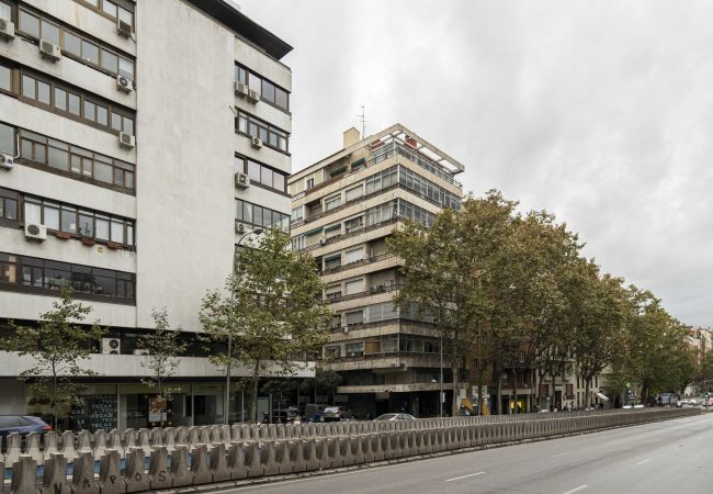 Apartment in Madrid - M (MDM32) Apartamento Centro Negocios Castellana