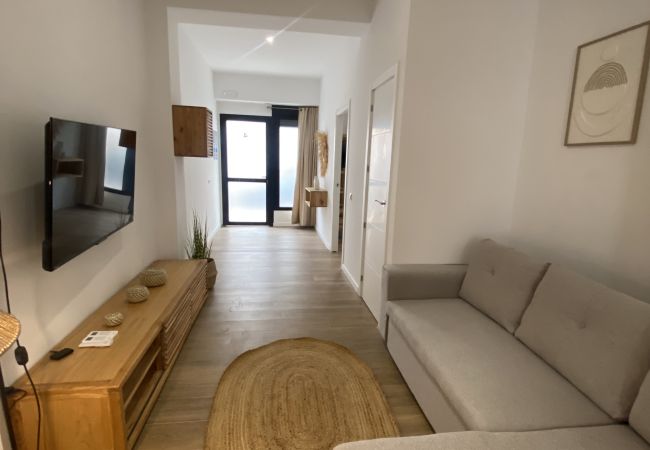 Apartment in Valencia / València - A (VA079-4) TH Bioparc con Terraza Apartment D