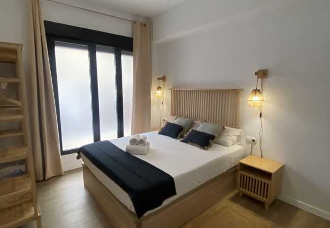 Apartment in Valencia / València - A (VA079-4) TH Bioparc con Terraza Apartment D