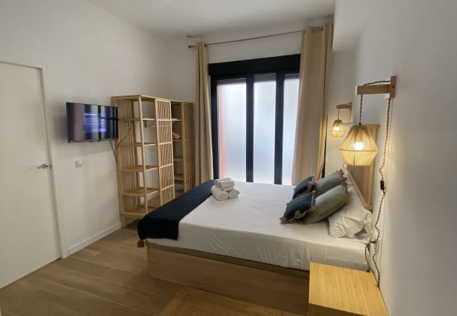 Apartment in Valencia / València - A (VA079-4) TH Bioparc con Terraza Apartment D